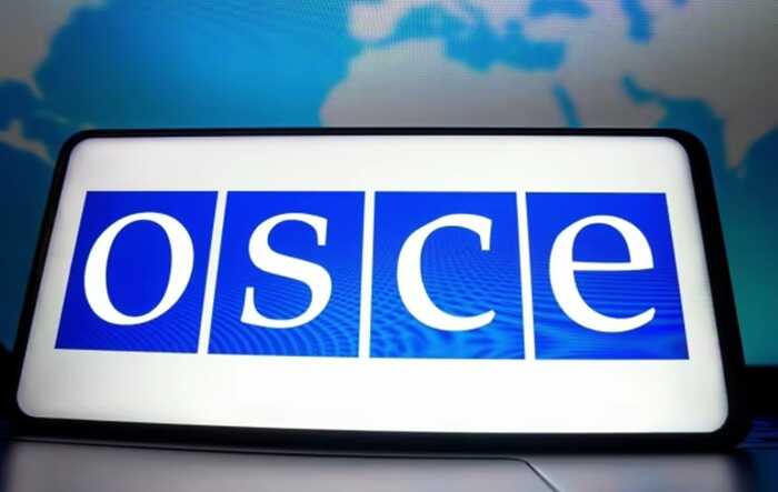 В ОБСЄ засудили катування та вбивство журналістки Рощиної в РФ